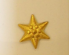 RENDŐRSÉGI VÁLLSZALAGRA CSILLAG ARANY ÉS EZÜST SZÍNEKBEN EGYARÁNT