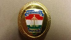 TRÁNYÉRSAPKÁRA SAPKAJELVÉNY EZÜST ÉS ARANY SZÍNEKBEN EGYARÁNT